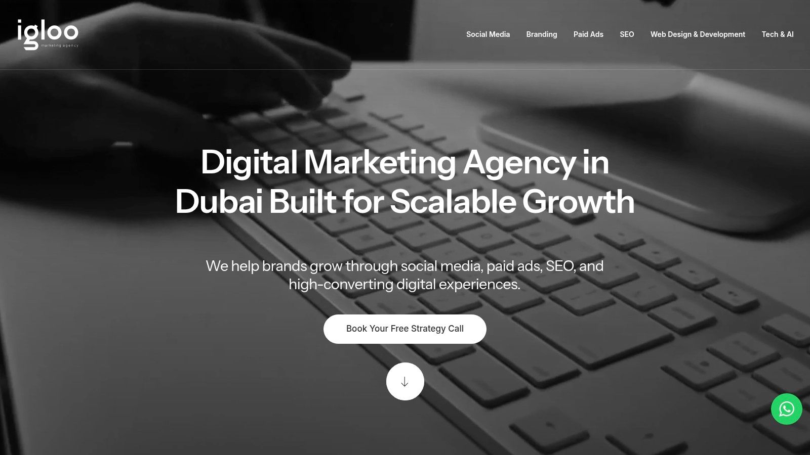 Igloo (We Are Igloo), Dubai